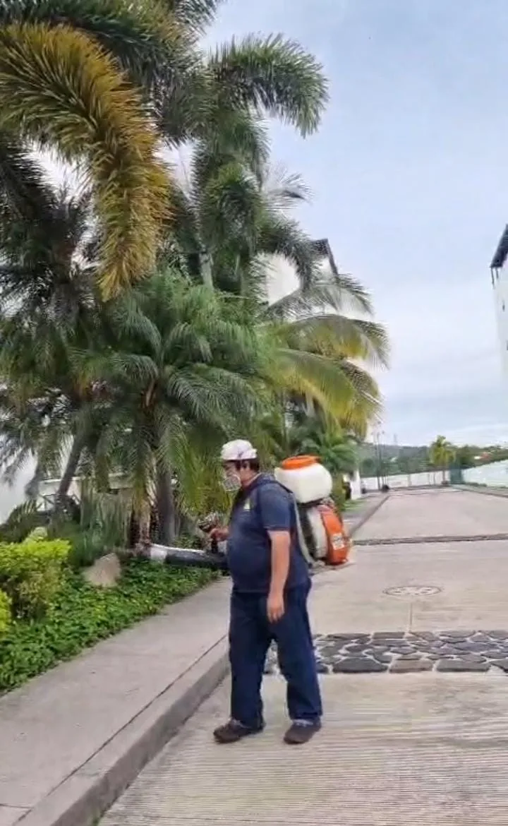 Servicio de fumigación exterior